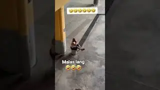 #highlights #takeaction #funny