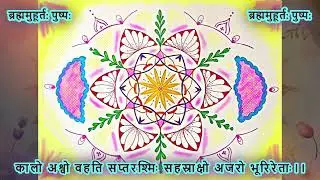 Flower of Divine Timing Seed Sacred Geometry Art Work