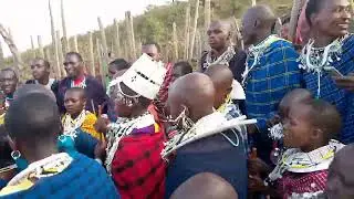 masai from tz korongoro