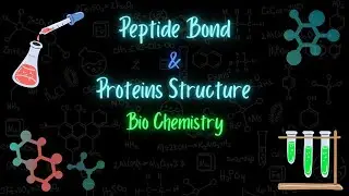 الرابطة الببتيدية وبنى البروتين - peptide bond and proteins structures - تعلم بالعربي