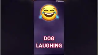dog laughing sound  || Funny dog laughing video #memes @totalsoundeffect