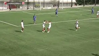Prijateljska utakmica C zvezda 2011  Sindjelic 2010  i 2011    5 5