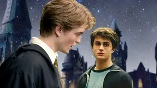 Rating Harry Potter Ships - Part 2 (Hedric, Jily, Wolfstar, Deamus, Snarry)