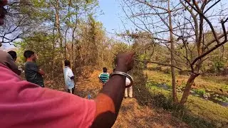 Rourkela jagda Me Hathi @soyvlogs 