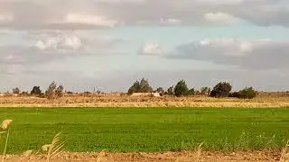2 فدان أرض جمعية بالكفاح سعر الفدان 230 ألف جنيه ت01157487292 