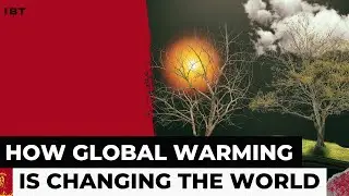 The Urgency of Global Warming: A Call for Immediate Action
