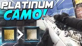 PLATINUM & GOLD CAMO UNLOCKED!! Modern Warfare SECRET Camos!