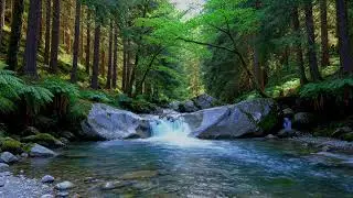 Flowing River Night 🌿 Peaceful Nature Soundscape for Deep Sleep and Serenity #1453