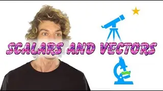 Scalars and Vectors