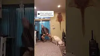 Cotton Eye Joe - Dance (Official)
