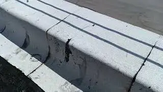 Turning a ballasted EPDM into a 3 ply high strength modified BUR - week 2 progress