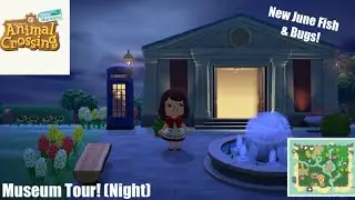 Animal Crossing New Horizons - FULL MUSEUM TOUR (With June Bugs & Fish + Elgato Capture Card)