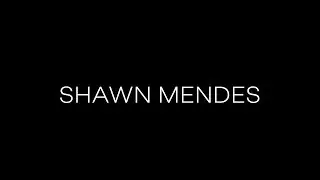 Shawn Mendes - In My Blood (CALVERT Cover)