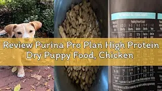 Review Purina Pro Plan High Protein Dry Puppy Food, Chicken and Rice Formula - 6 lb. Bag