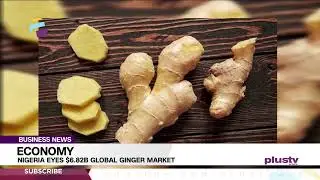Economy: Nigeria Eyes $6.82B Global Ginger Market | BUSINESS