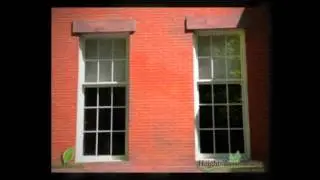 Wood Replacement Windows