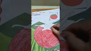 🍅 Tomato Colouring Time! 🎨Let&rsquo;s colour a  red tomato and learn while having fun! #artshorts #shorts