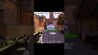 WORLD RECORD ACE