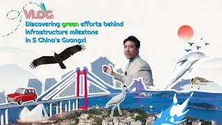 GLOBALink | Vlog: Discovering green efforts behind infrastructure milestone in S China's Guangxi