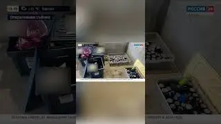 Задержали членов ОПГ 😱 Прямой эфир ВЕСТИ на РОССИЯ 24. Телеведущий Леонид Хиль