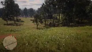 Red Dead Redemption 2 Alex Potter