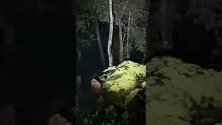 Night Creatures Stalk Our Ranch - Bobcat Encounter! WaterWolf Ranch After Dark