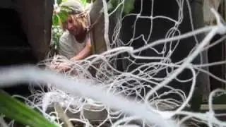 Eldad, George and Mark rescuing a wild puppy - please subscribe (By Eldad Hagar) #puppy