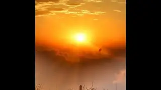 Прабхат Самгит № 4455 