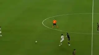 Pedro Vite Skills
