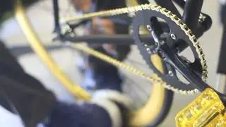 RosewoodCutters x FHQ Collaboration