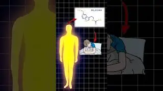 🌇DAY vs NIGHT🌌STUDY📚(Scientific Research🤯)#study#studytips#motivation