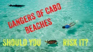We found a swimmable beach in Cabo.