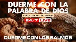 Los salmos mas poderosos y Mensaje de dios traen descanso profundo. Descansa.
