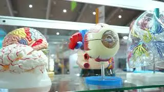 N C Kansil and Sons @ DIDAC India Exhibition at BIEC, Bangalore