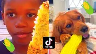 ITS CORN SONG🌽TIKTOK COMPILATION🌽