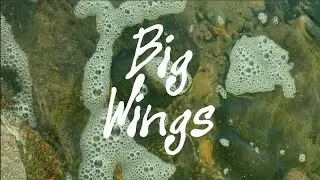 Babe Lewis - Big Wings [VISUALIZER]