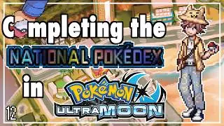 Chillin with the Homies in Po Town  [12] 【POKEMON USUM Living National Dex】 #shorts
