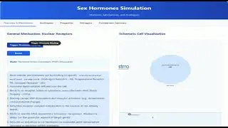 Learn Sex Hormones Simulation | Pharmacy Tutorial | Medical Education
