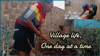 Village life routine| chicken🐔 🐥  and Garden