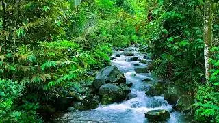 Relaxing River Ambience for Anxiety Relief, Insomnia Healing, and Peaceful Sleep Aid
