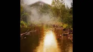 Alone With The Rain - Edgar Tuniyants ( The most emotional music) 🎶🌹