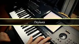 Korg i30 (Style Wals, Polka)