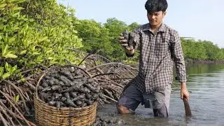 Relaxing - My Real Life Find Oyster Near Mangrove forestl#oyster #100kviews #seafood #fishing