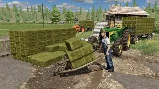 Ramassage et Stockage de 1000 petites bottes de foin pour être tranquille cet hiver (à l'ancienne)