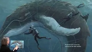 The Eye of The Whale - A Rescue Story - Read by Author & Illustrator, Jennifer O'Connell