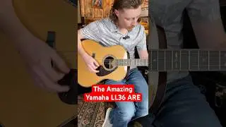 The Amazing Yamaha LL36 ARE Guitar!