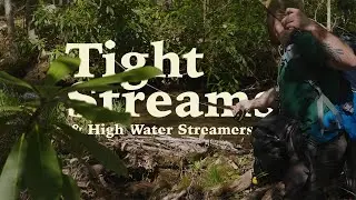 Solo Filming Fly Fishing vs Fishing with Friends | Native Brook Trout and Wild Brown Trout