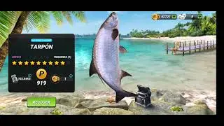 Truco fishing clash