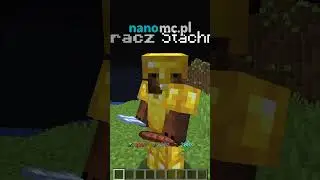 NAJLEPSZY CUSTOM ITEM NA DROP SMP? IP: NANOMC.PL... Wersja: 1.16-1.22