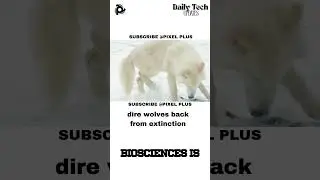 dire wolves back from extinction #dog #dogs #animals #ai #innovation #cat #cats #tech #usa #india